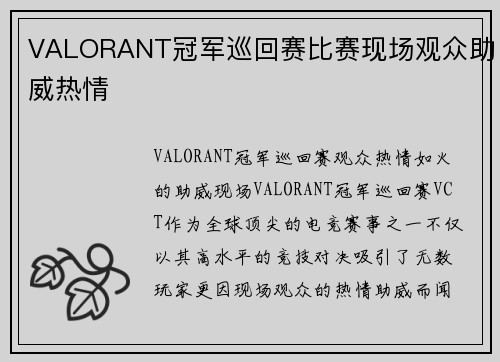 VALORANT冠军巡回赛比赛现场观众助威热情
