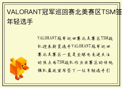 VALORANT冠军巡回赛北美赛区TSM签下年轻选手