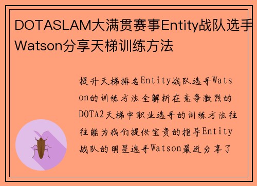 DOTASLAM大满贯赛事Entity战队选手Watson分享天梯训练方法