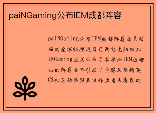 paiNGaming公布IEM成都阵容